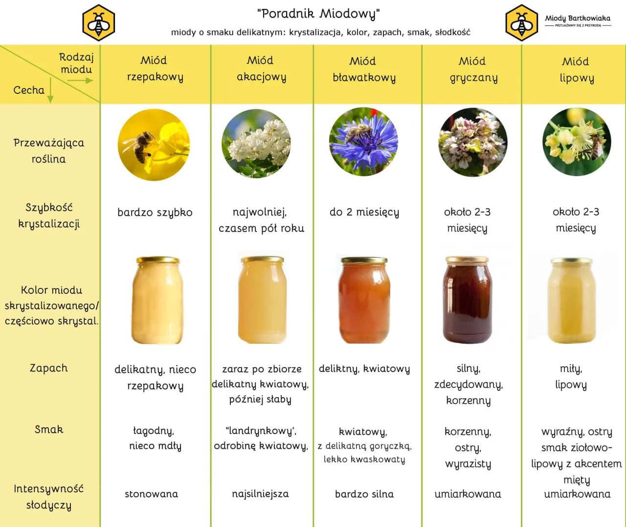 Jaki miód na płuca? Odkryj najlepsze rodzaje i ich właściwości