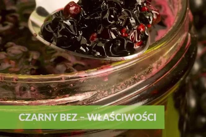 Jak zrobić sok z czarnego bzu - prosty przepis i ważne wskazówki