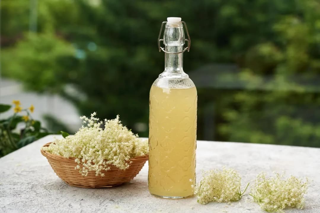 Syrop czy sok z czarnego bzu – co wybrać dla zdrowia i smaku? Porównanie korzyści