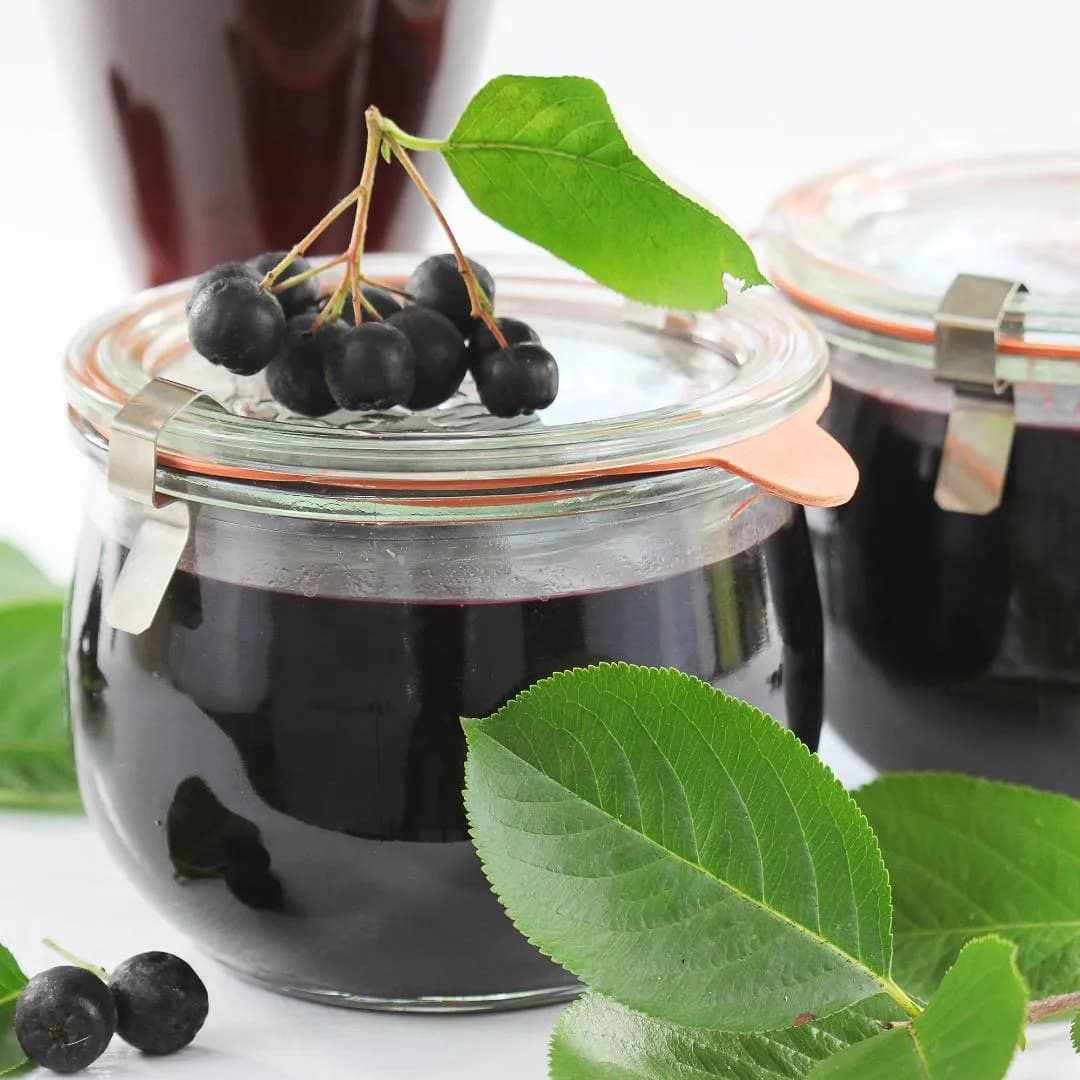 Jak zrobić sok z aronii na zimę – prosty przepis i skuteczne przechowywanie